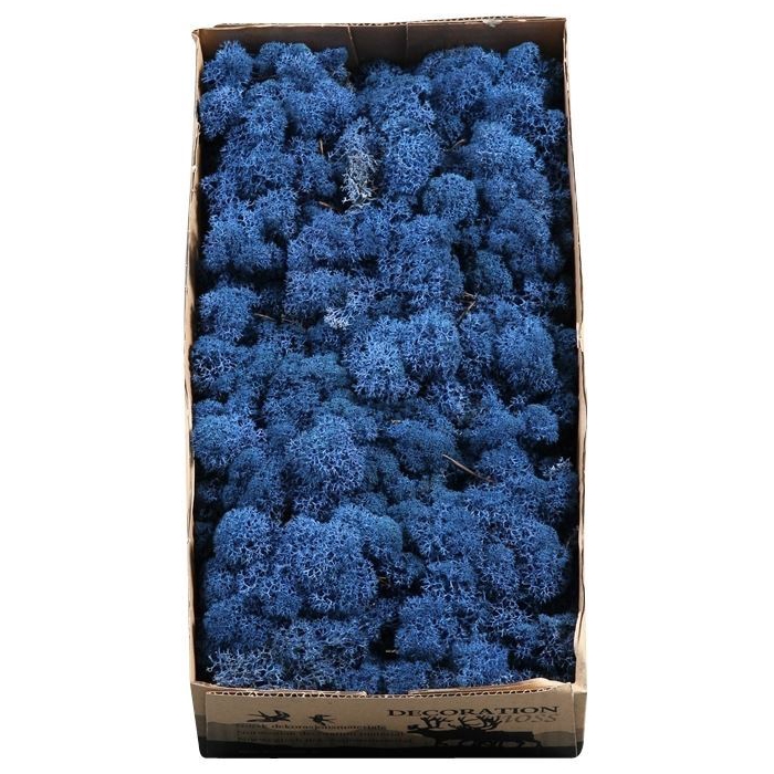 <h4>IJSLANDS MOS KONINGSBLAUW 425GR</h4>