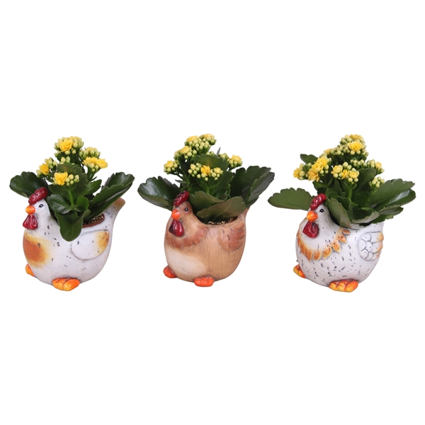 <h4>Easter Arr. Indoor Ceramic Natural Chicken Mix Ø14cm 1PP</h4>