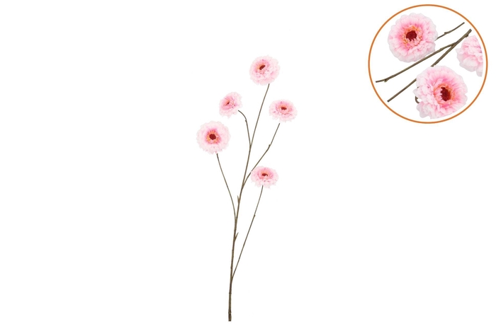 Silk Zinnia Pink 106cm