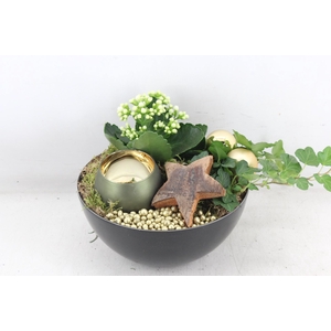 arr2 MB - Kunstst. schaaltje Gold 1wax x5