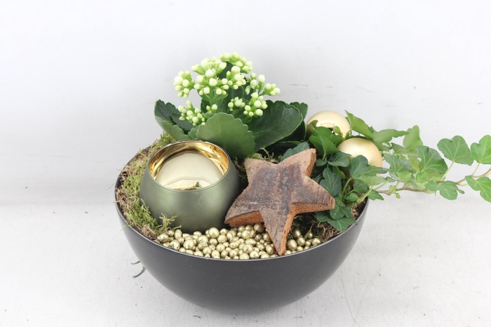 <h4>arr2 MB - Kunstst. schaaltje Gold 1wax x5</h4>