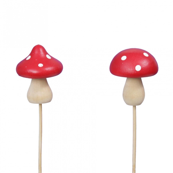 <h4>Promo 20cm Mushroom 4.5cm</h4>