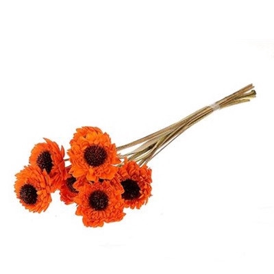 <h4>Artificial flowers Germini 60cm x10</h4>