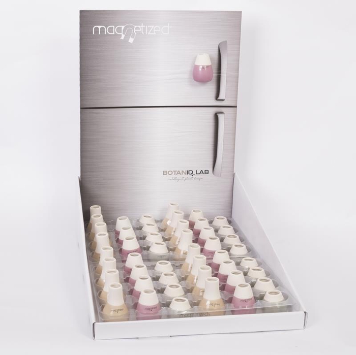 <h4>999141 Petite display</h4>