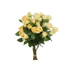 ROSA SPRAY AXANA 040 CM
