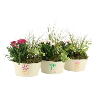 31609: Outdoor summer arrangement