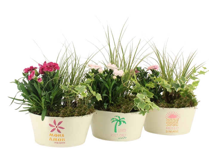 <h4>31609: Outdoor summer arrangement</h4>