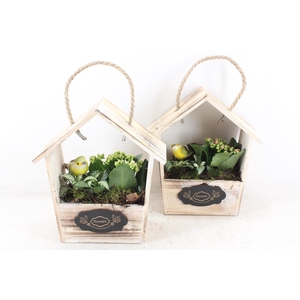 Arr2 Td - Hout Huis Puntdak - Roze/wit