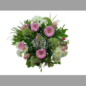 BQ Large White /pink
