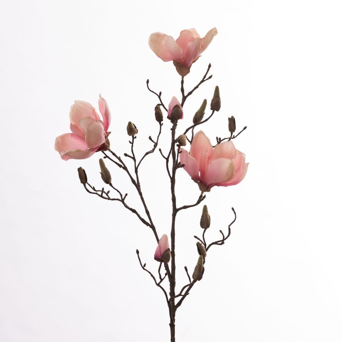 <h4>AF Magnolia L86cm Pink</h4>