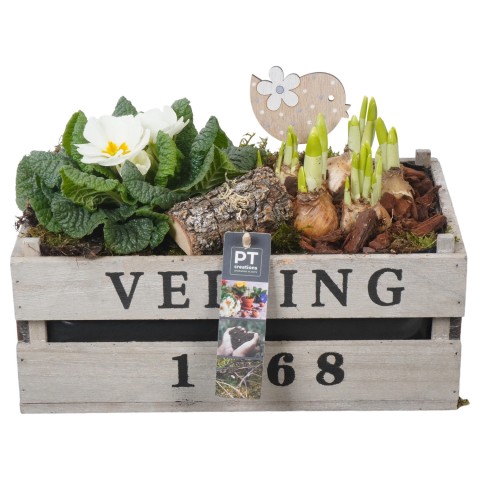 <h4>PTBM3183 Arrangementen Tuinplanten</h4>