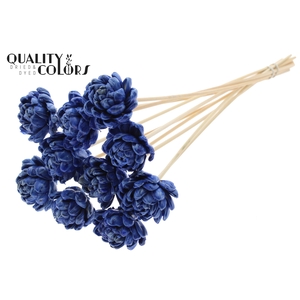 Shola New Beauty Rose 6cm on stem Wax Blue