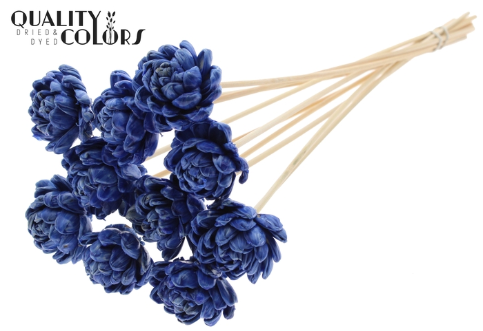 <h4>Shola New Beauty Rose 6cm on stem Wax Blue</h4>