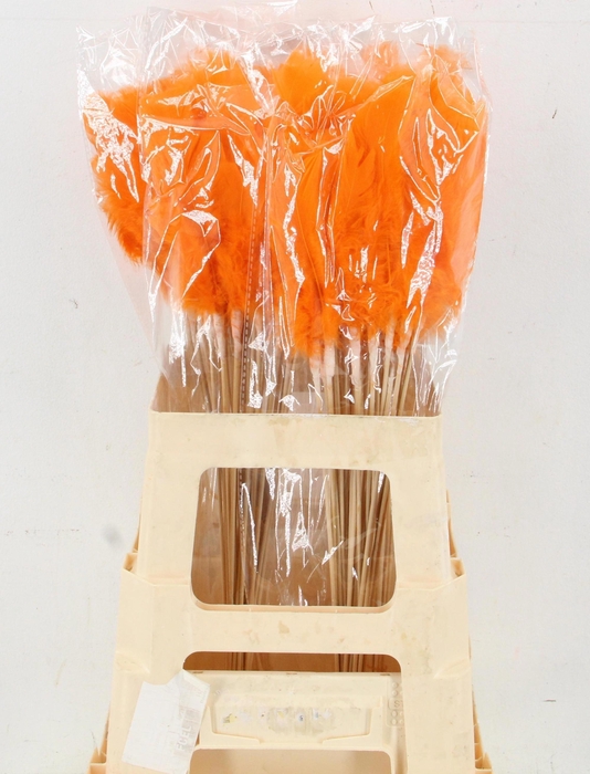 <h4>HUIS EN TUINDECO H%</h4>