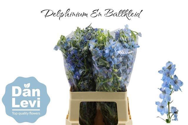 <h4>DELPH EN BALLKLEID</h4>