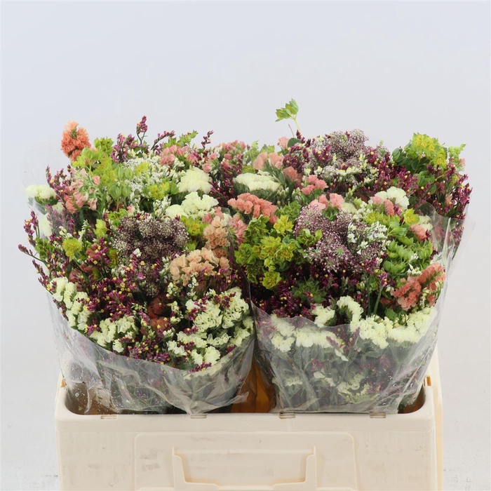 <h4>Gemengd boeket Zomerboeket overig</h4>