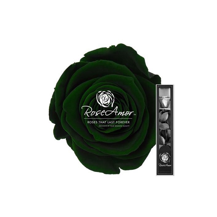 <h4>30cm Stem Gre02</h4>