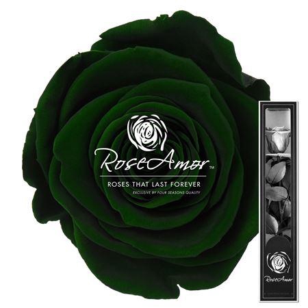 30cm Stem Gre02
