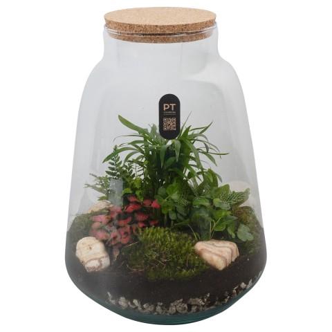 <h4>PTTER8137 Arrangement terrarium in glazen terrarium</h4>