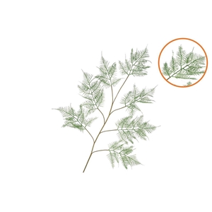 Silk Fern Asparagus Dark Green 138cm Nm
