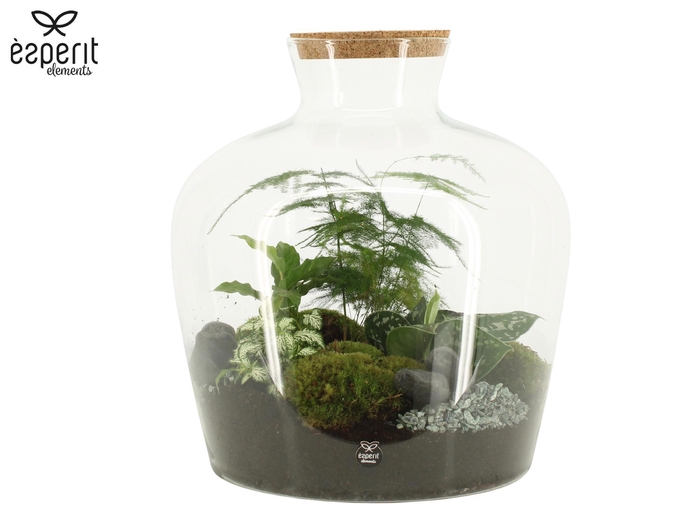 <h4>90998: Terrarium arrangement</h4>