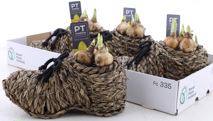 <h4>ARR N TETE A TETE</h4>