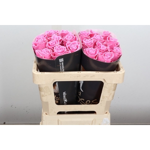 Wax-Rozen Wax Licht Roze 50cm