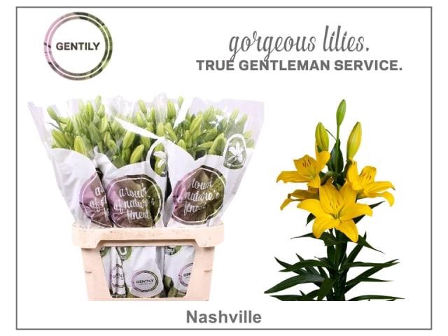 Li La Nashville