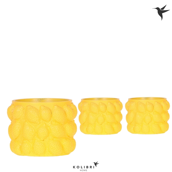 <h4>Kolibri Home Citrus pot yellow</h4>