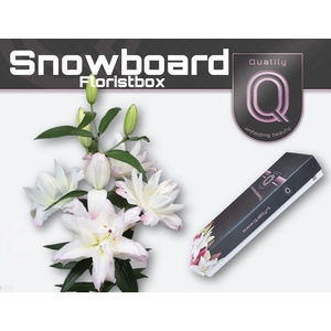 LI OR DU SNOWBOARD FLORISTBOX 4+