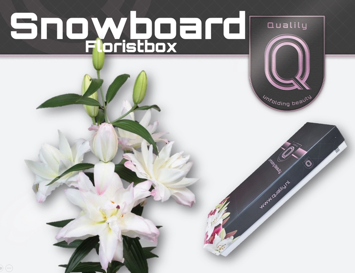 <h4>LI OR DU SNOWBOARD FLORISTBOX 4+</h4>