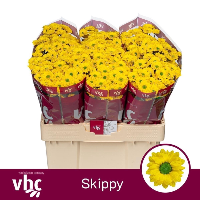 <h4>Chr S Skippy 1000gr</h4>