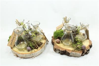 <h4>0181 Schors 3 Flesjes</h4>