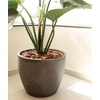 VASO LISO REDONDO 52 MACCHIATO