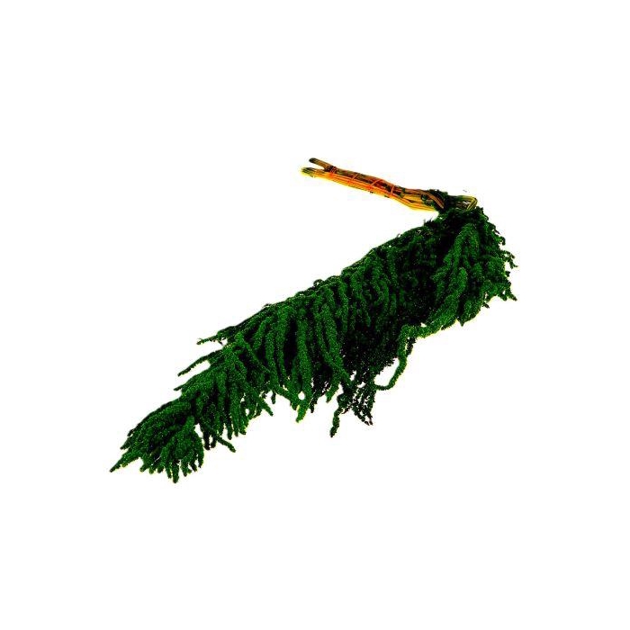 <h4>Bunch Amaranthus Caud. Pres 5pcs L90</h4>