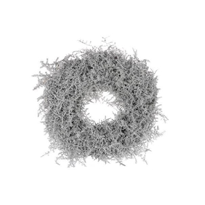 Wreath Asparagus Glitter D40