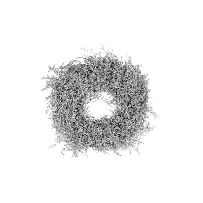 <h4>Wreath Asparagus Glitter D40</h4>