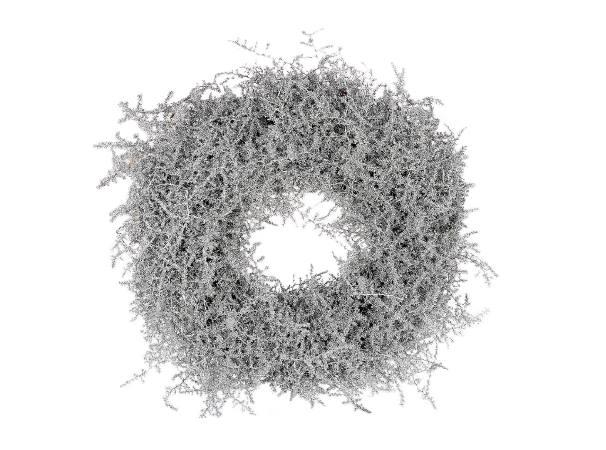 Wreath Asparagus Glitter D40