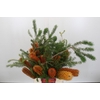 Banksia Ericifolia