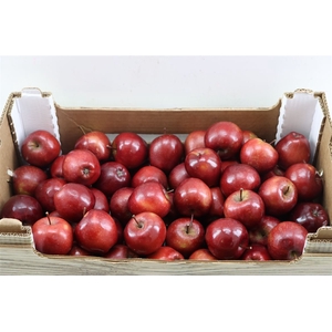 Sier Appels Red Lak P Box 8,5 Kg