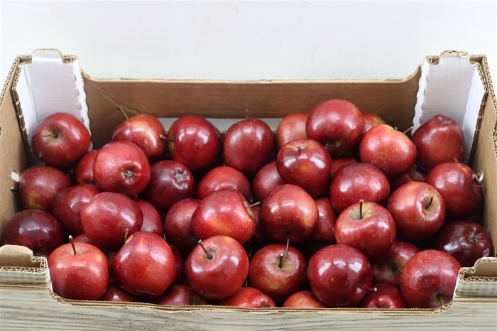 <h4>Sier Appels Red Lak P Box 8,5 Kg</h4>