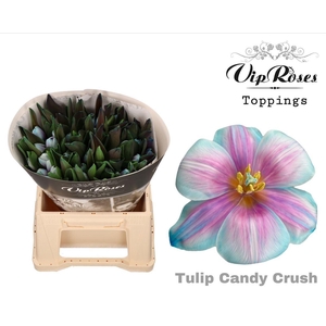 Vip Tu En Rv Candy Crush