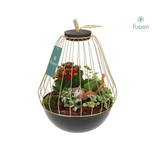 Peer metaal goudzwart Large met arrangement