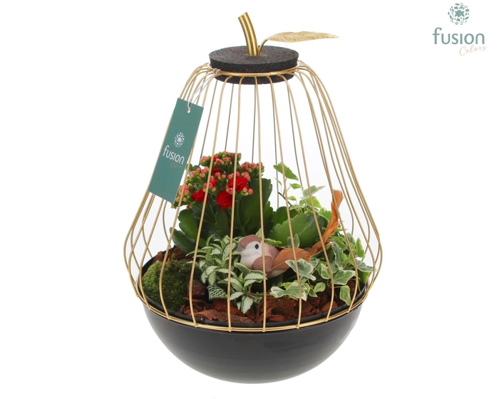 <h4>Peer metaal goudzwart Large met arrangement</h4>