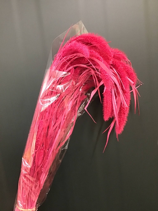 DRIED SETARIA PINK