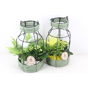 arr2 PL - Mand lantaarn x3 - geel/wit