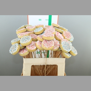 ~DIV. BESCHUIT MET MUISJES OP STOK