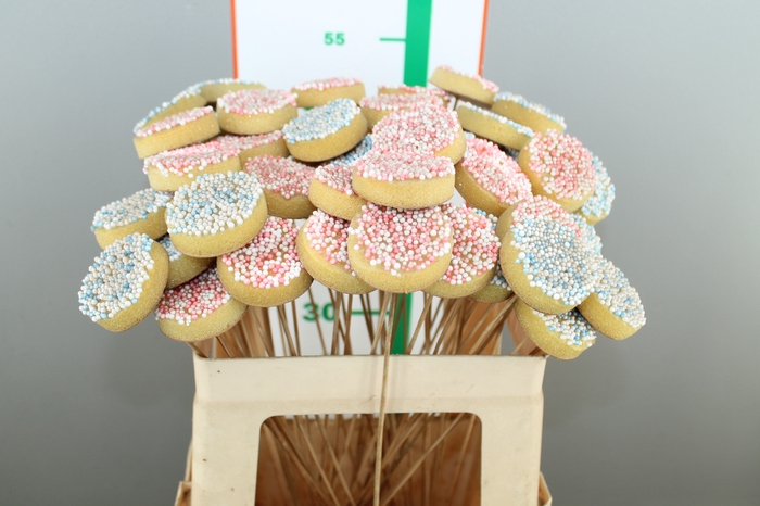 ~DIV. BESCHUIT MET MUISJES OP STOK