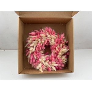 Wr Lagurus Pink White D30