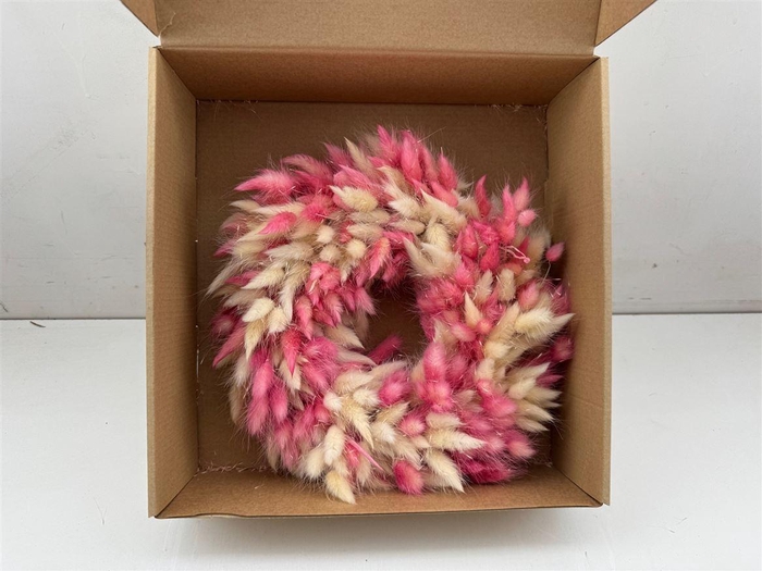 <h4>Wr Lagurus Pink White D30</h4>